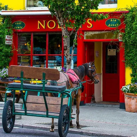 Rossa House Διαμέρισμα Rosscarbery